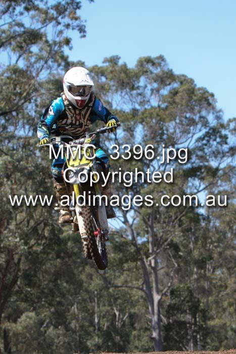 445x677 pixels (68K)